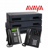 Avaya IP PBX Dubai